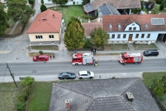 IMG-1