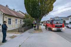 IMG-10