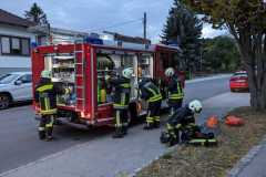 IMG-12