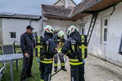 IMG-19