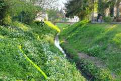 IMG-20240413-WA0009