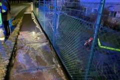 FB_IMG_1680097315240