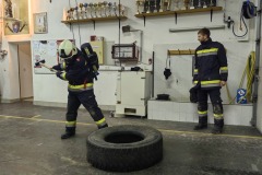 IMG-6