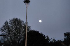 IMG-20260430-WA0003
