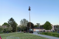IMG-20260512-WA0017