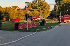 PHOTO-2026-10-10-12-27-02-0011